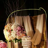 What is this thing called?! And where can I get one?