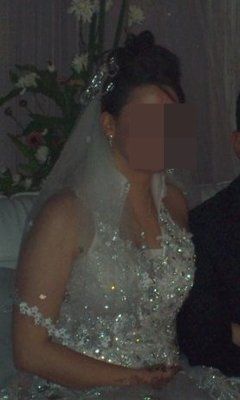 Found the dress of my dreams but...