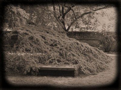 Personal Photography