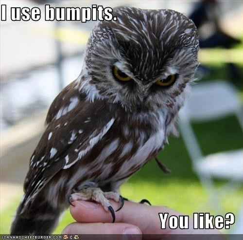 Anyone heard from Weddingbliss lately??