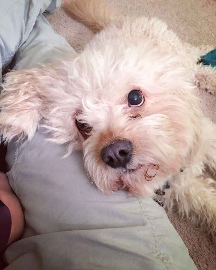 Post a pic of something that makes you happy!