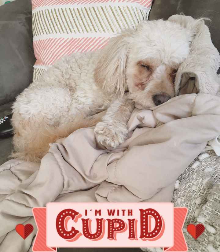 NWR: Show me your pups!