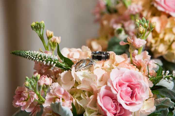 FINALLY BAM with PRO PICS!  lots of pics :)