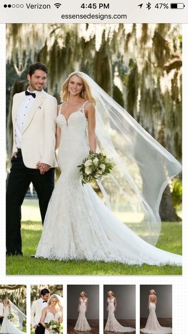 Decided to look at dresses again... Opinions?