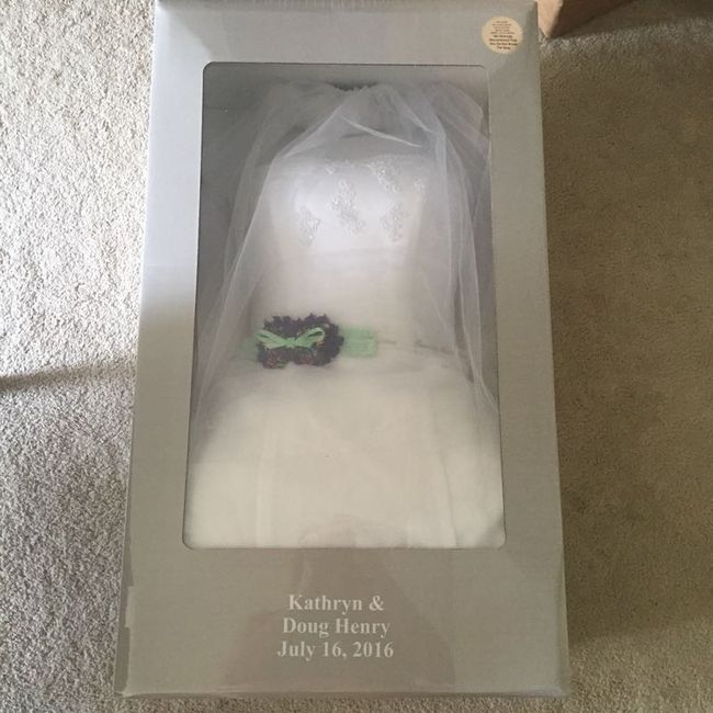 david's bridal dress preservation kit
