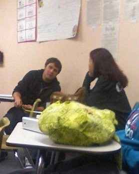 Show me the first picture you ever took with your FH!