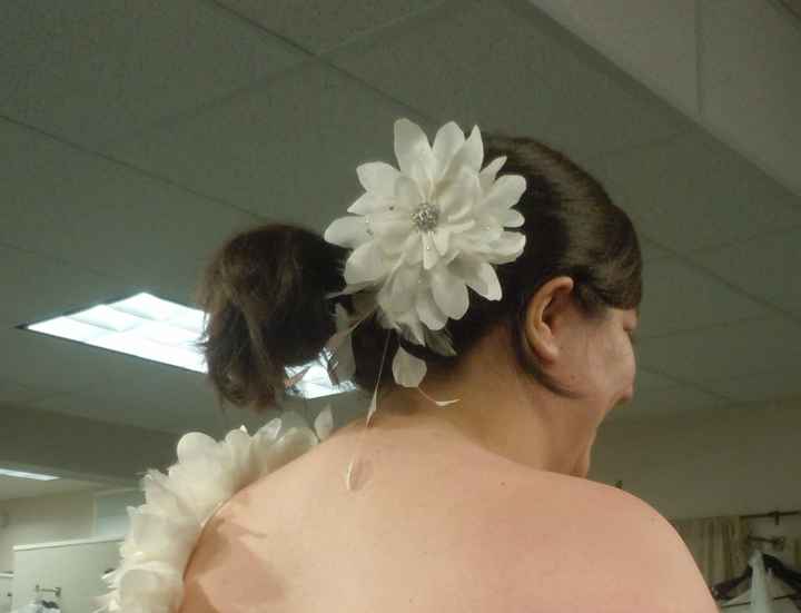 What Is Your Wedding Hairstyle???? Any Pics?