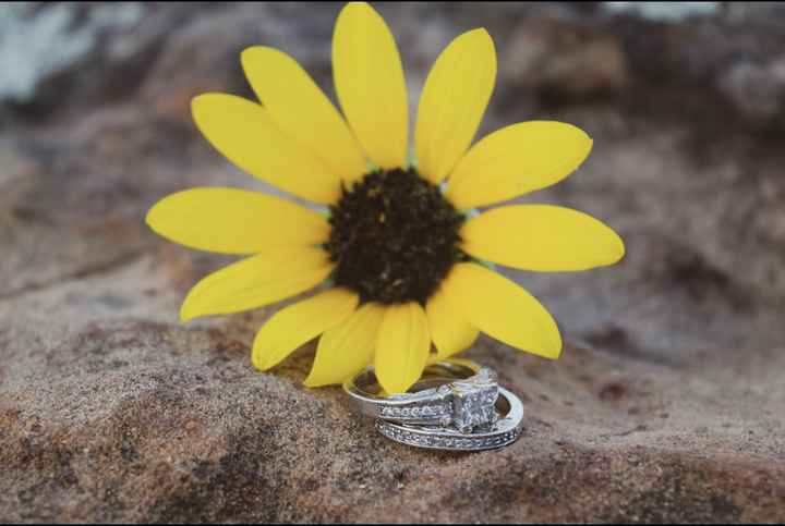 2024 Brides - Show us your ring! - 1