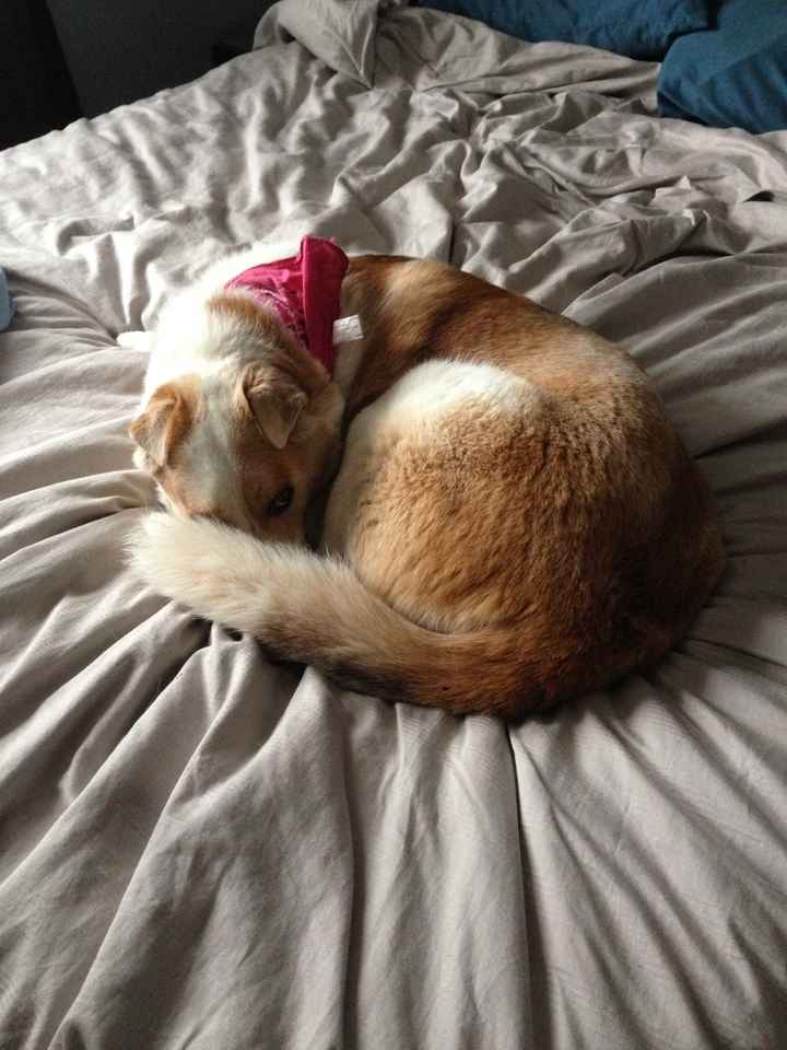 Has anyone made a Fursday thread yet?