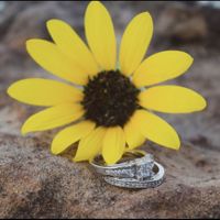 2024 Brides - Show us your ring! - 1