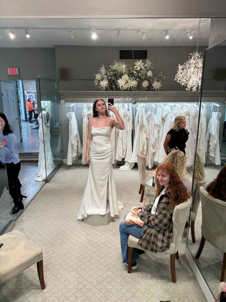 Dress doubts - opinions needed - 1