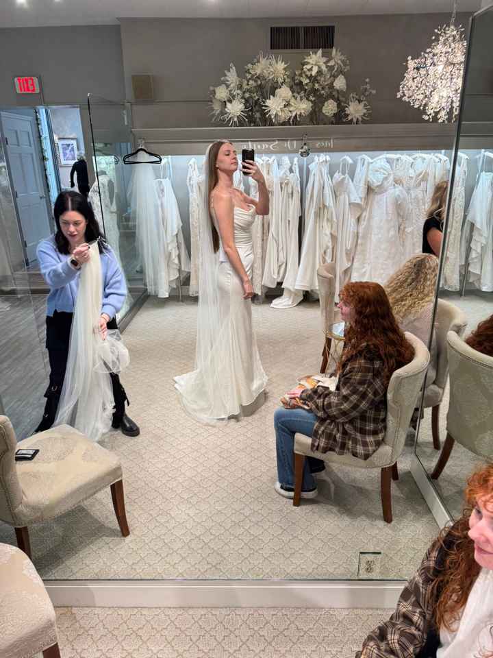 Dress doubts - opinions needed - 2