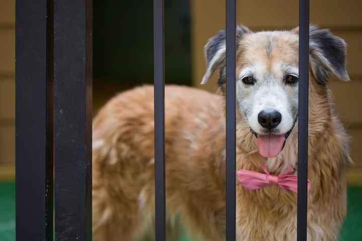 Updated: Link included PRO BAM!!!  Pic Heavy, Advice and a Wedding Crasher! The Backyard Wedding!