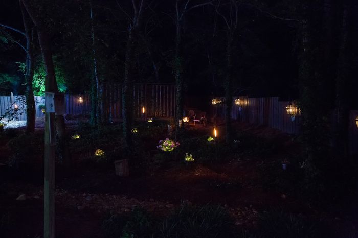 Updated: Link included PRO BAM!!!  Pic Heavy, Advice and a Wedding Crasher! The Backyard Wedding!