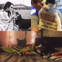 Today is National Pet Day! Let's see those fur babies :)