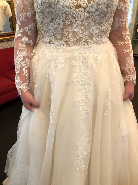 Front of Dress without Skirt
