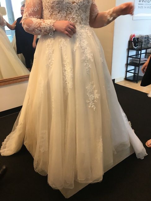 Front of Dress without Skirt