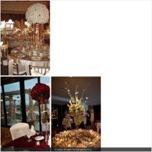 What is your theme? *Pics*