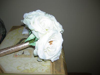 Bouquet & Ring Bearer Pillow (PICS)