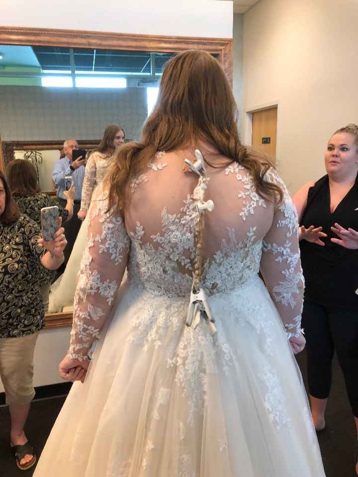 Back of Dress without Skirt