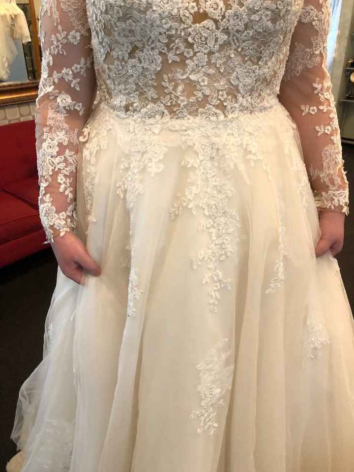 Front of Dress without Skirt