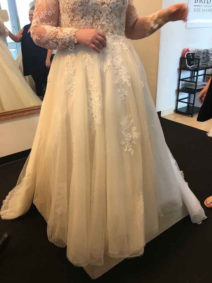 Front of Dress without Skirt