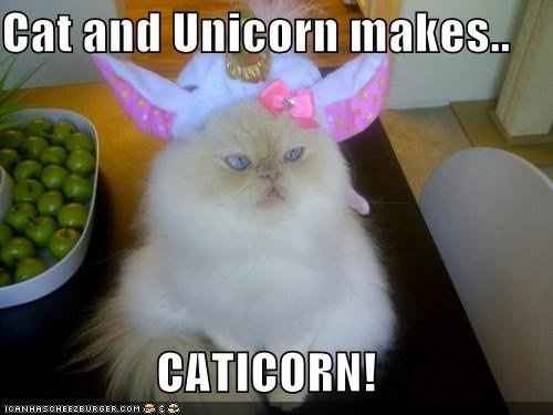 =) So....last night was fun.....