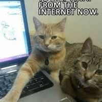 Its Wednesday.... UGH