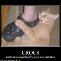 Its Wednesday.... UGH