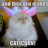 =) So....last night was fun.....