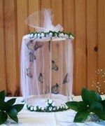 butterfly wedding/reception decoration ideas.