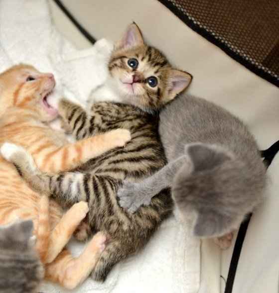 How are you today?