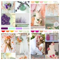 Help! what colors should I pick?