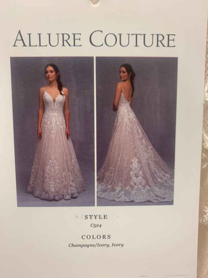 Brides of 2022 - Dress Pics! - 1
