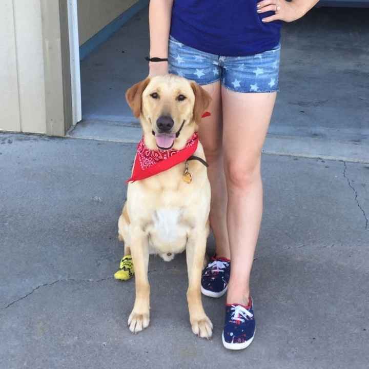 NWR- pets! We love them show me yours :)