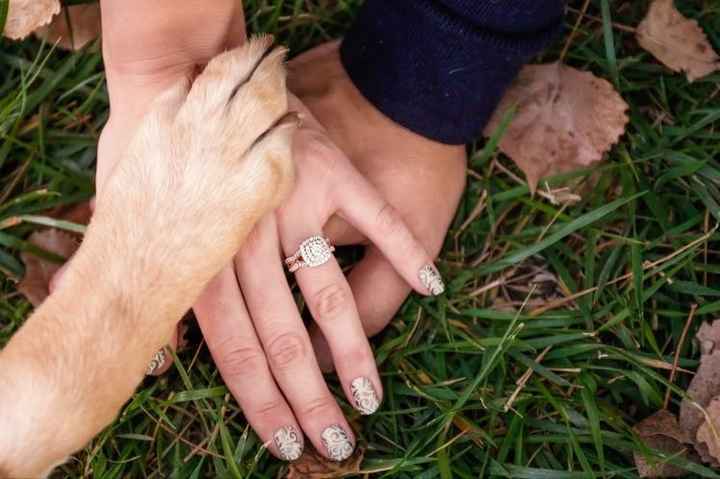 E-pics are in! (Sort of)