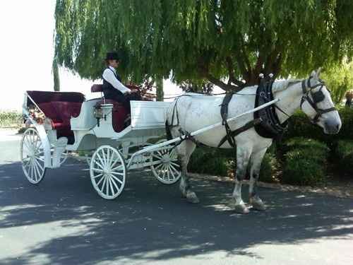 Herbert and i are getting married next year in 2021 March 27th we are both very happy that our weddi