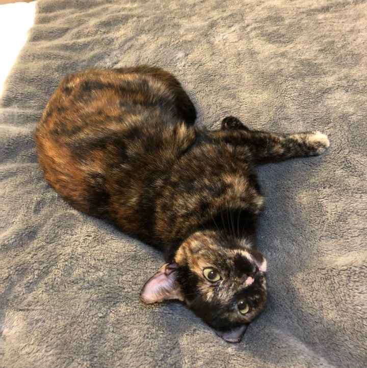 NWR:  Show me your fur babies!