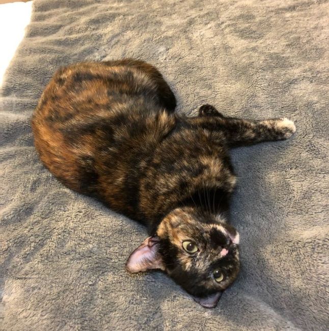 NWR:  Show me your fur babies!