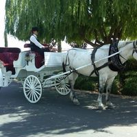 Herbert and i are getting married next year in 2021 March 27th we are both very happy that our weddi