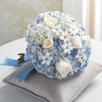 Want to see flowers!!!