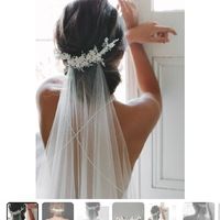 Veil+, veil clip +hair vines? - 2