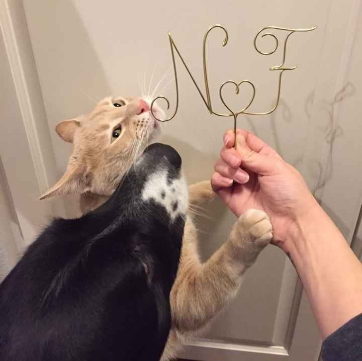 Cake Topper