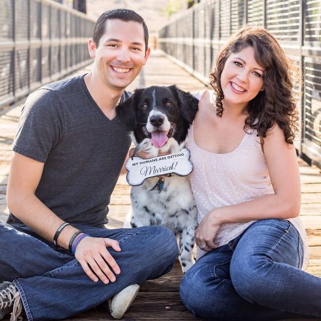 I'd love to see some Engagement photos