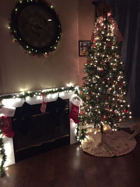 NWR: Christmas Tree