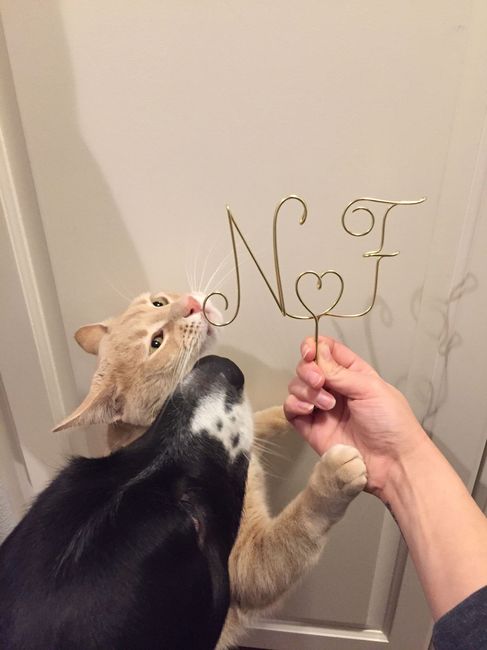 Cake topper