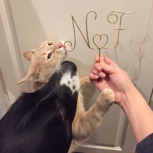 Cake Topper