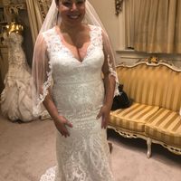 Pregnant Brides - 1