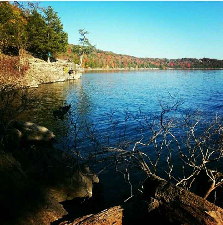 How did your FH propose?