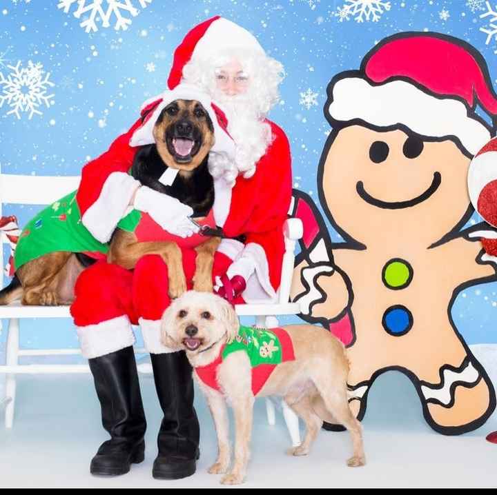 NWR: Show me your holiday spirit pets!